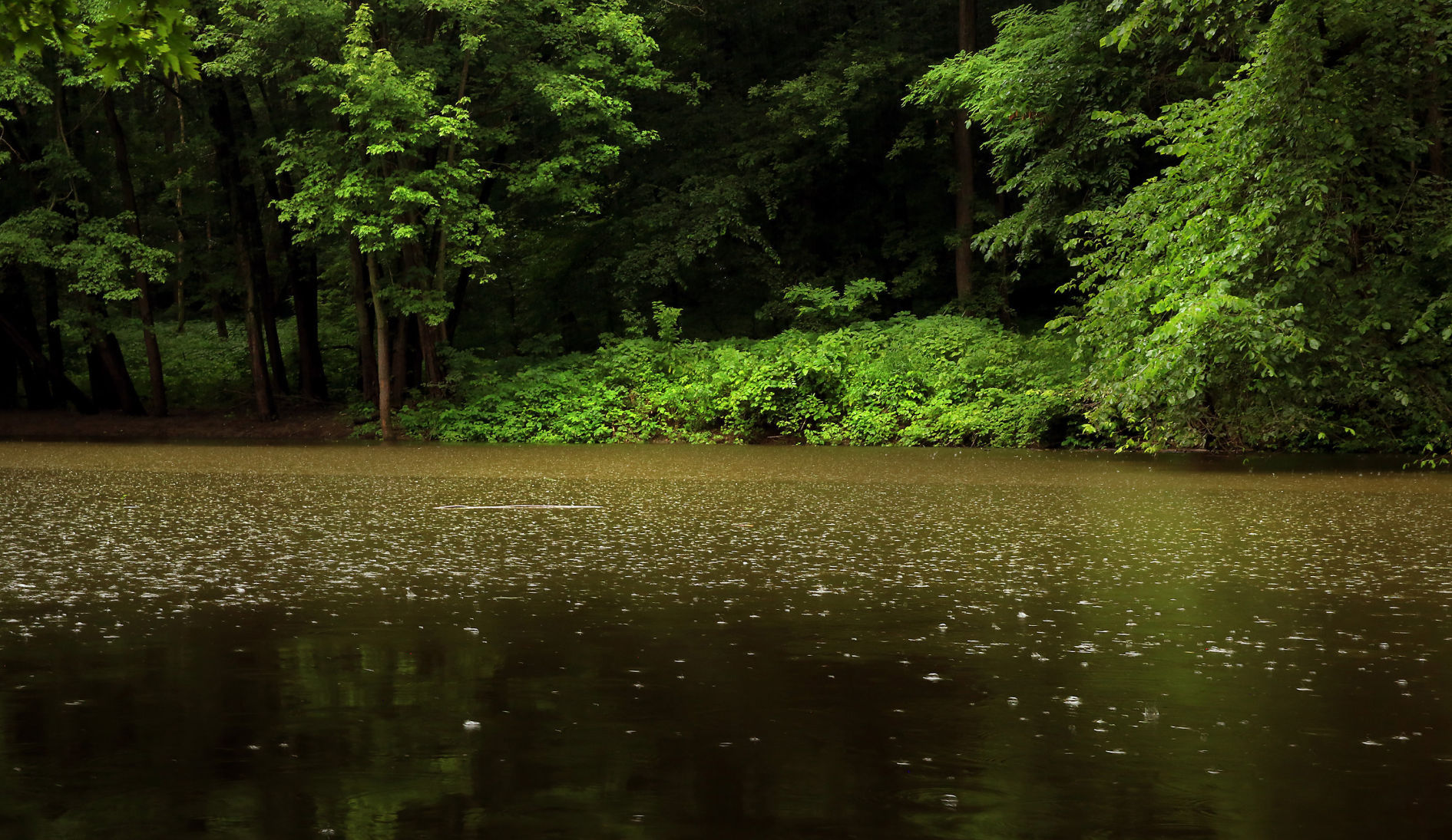 THE GREAT RIVER-0455